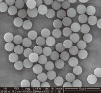 Kwaliteit  1μm 10 mg / mL 50 mL Carboxylated Magnetic Beads For Immunodiagnosis Fabriek