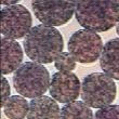 Kwaliteit  5 mL NHS Activated Magnetic Beads Preactivated N - Hydroxy Succinimide Nanoparticle Fabriek