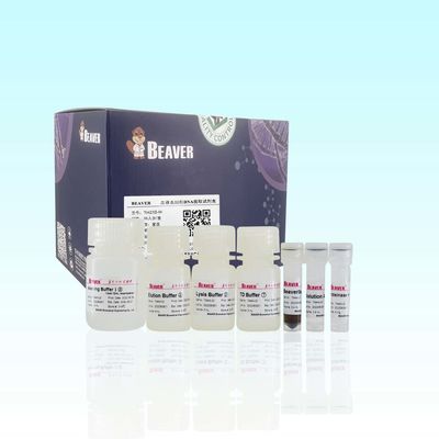 De Hoge Zuiverheid van DNA van DNA Kit For Extract van het BeaverBeadsbloed