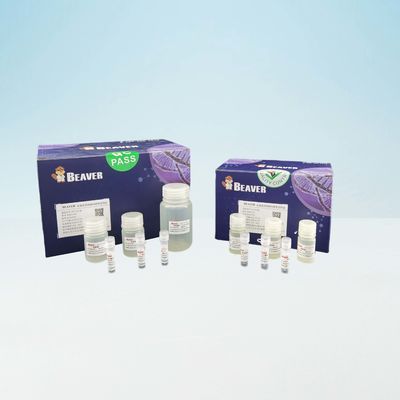 Snel BeaverBeads-Bloeddna Kit For Laboratory Use