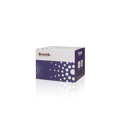 BeaverBeads® Anti-HA Magnetische kralen HA Tag Eiwitzuivering Magnetische kralen 0,5 ml / 1 ml / 5 ml HA-eiwitkralen