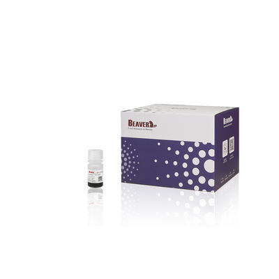 BeaverBeads 5 ml HA eiwitkralen Anti HA magnetische kralen
