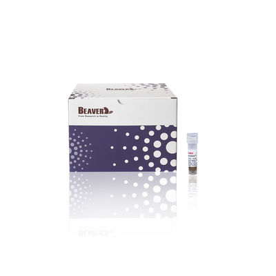 BeaverBeads® Anti-HA Magnetische Perlen 1 ml HA-eiwitperlen