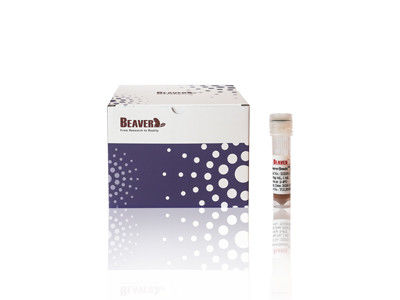 100 ml BeaverBeads IDA-Co met hoge doorvoer en lage kosten 30-150um 10% concentratie
