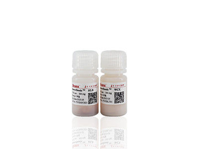 100 ml BeaverBeads IDA-Co met hoge doorvoer en lage kosten 30-150um 10% concentratie
