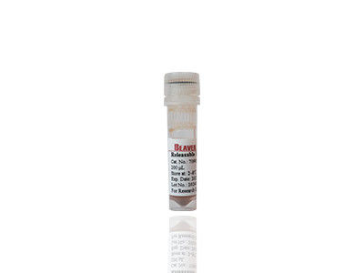 Mag OH Magnetische kralen DNA-extractie Silica Magnetische kralen Fe3O4 1 μm 10 mg / ml 50 mL