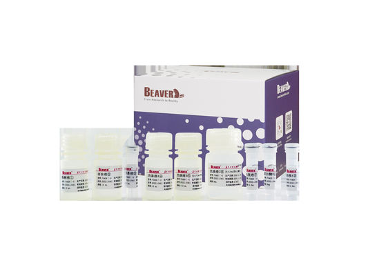BeaverBeads Wastewater Nucleic Acid Kit Extraction Environment Test