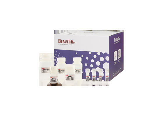 BeaverBeadsTM DNA / RNA Bloed Extractie van nucleïnezuur Magnetische kralen Kits Genome Extractie Extractie RNA Kit Genomic