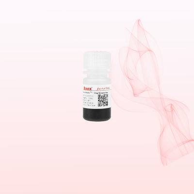BeaverBeads 1um/2um/5um/300nm/2.8um/3um Streptavidine Magnetische kralen voor chemiluminescentie en nucleïnezuur detectie