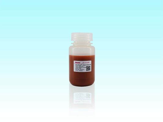 BeaverBeads 10-30μm Magros Streptavidine Magnetische Perlen De Ultieme Oplossing Voor Eiwit Verrijking En Zuivering