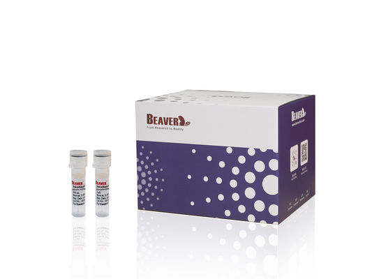 BeaverBeadsTM Nucleic Acid Kit PCR-reagens voor het herstellen van DNA en het verwijderen van onzuiverheden uit PCR-producten