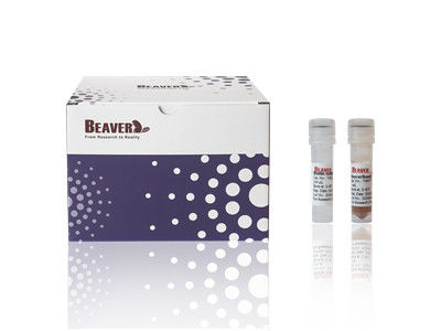 BeverBeads Muis CD4 Cellen Isolatie Kit CE Gecertificeerd Voor Laboratorium Onderzoek