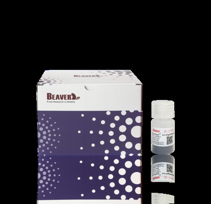 BeaverBeads Anti-HA magnetische kralen