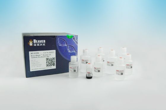 De eiwita/g-Eiwitreiniging van Antilichamen Magnetische Parels 2μm 30 mg/ml 5 ml