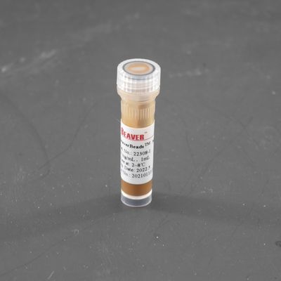 vangen de Magnetische Parels van 300nm Streptavidin voor Cel Sorterende Sonde 10 mg/ml 1 ml