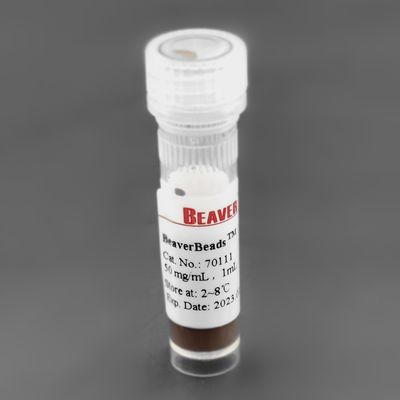 300nm 50 mg/ml 1 ml-Kiezelzuur Magnetische Parels voor Eiwitextractiepc