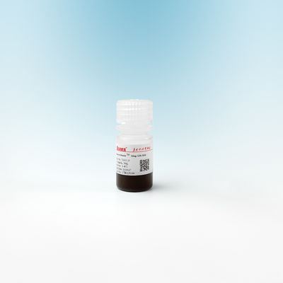 Mag OH Kiezelzuur Magnetische Parels voor DNA-Extractie 500nm 10 mg/ml 5 ml