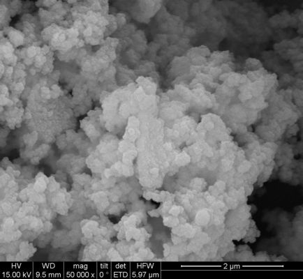 Silane Magnetic Beads For-de Extractie van DNA 1μm 50 mg/ml 10 ml