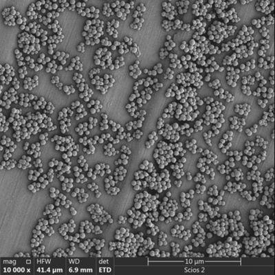 2.8μm Streptavidin Magnetische Parels voor Chemiluminescentiecel het Sorteren