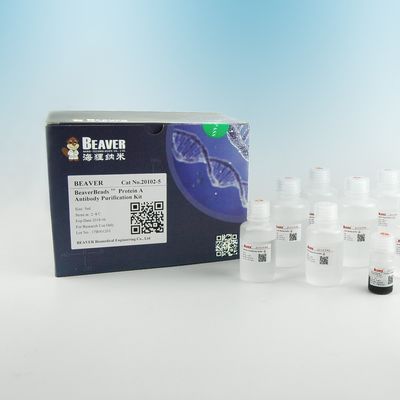 Proteïne een Eiwitreiniging van Antilichamen Magnetische Parels 2μm 30 mg/ml 5 ml