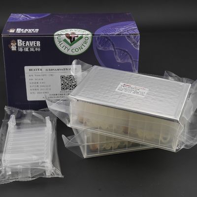 Viraal DNA-RNA Vooraf gevuld Kit Nucleic Acid Extraction Kits plateert de Bodem van 32 Reactiesu