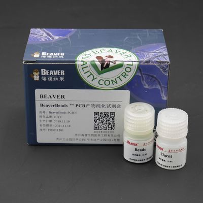 5 ml-PCR van de Uitrustingsdna van de Productreiniging de BibliotheekBouwdoos voor DNA-Bibliotheekbouw