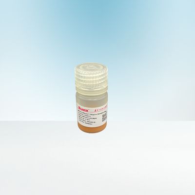 1030μm Agrose Streptavidin Magnetische Parels 20% voor Biotinylated IgG 5 ml